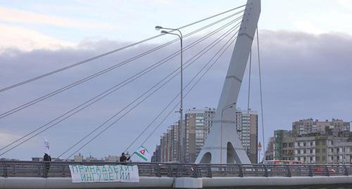 Плакат участника акции на мосту Кадырова. Санкт-Петербург, 28 ноября 2018 г. Фото Давид Френкель для "Кавказского узла"