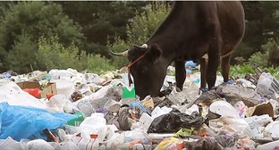 Создание семи комплексов по сортировке мусора запланировано в Карачаево-Черкесии