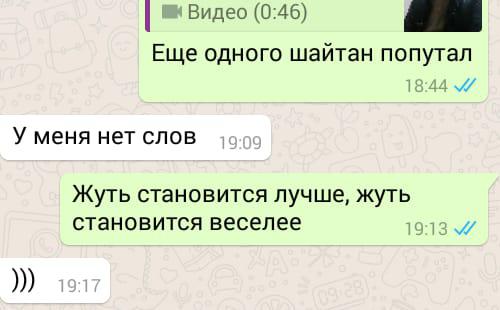 Реакция пользователей WhatsApp на извинения жителя Чечни перед газовиками.