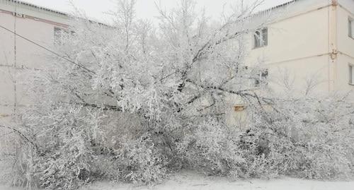 Последствия снегопада. Гуково, 4 февраля 2019 г. Фото Вячеслава Прудникова для "Кавказского узла"