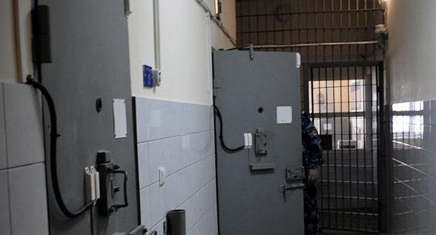 Колония. Фото: Елена Синеок. ЮГА.ру