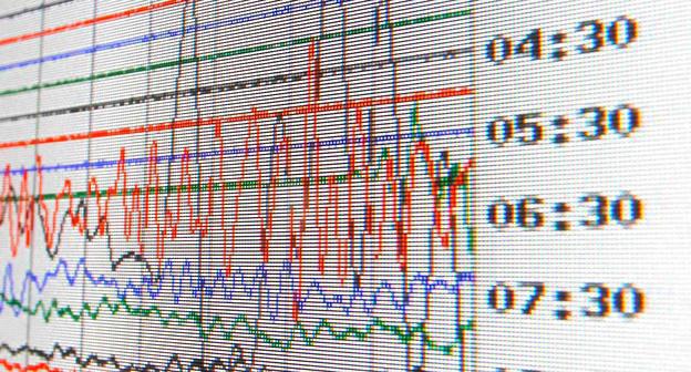 Показания сейсмографа. Фото REUTERS:
David Moir