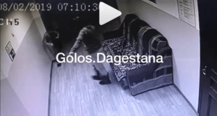 Скриншот публикации видео жестокого обращения с ребенком в детдоме Каспийска, https://www.instagram.com/p/BujolF3nfVg/