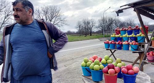 Продавец яблок. Баксанский район КБР. Фото Людмилы Маратовой для "Кавказского узла"