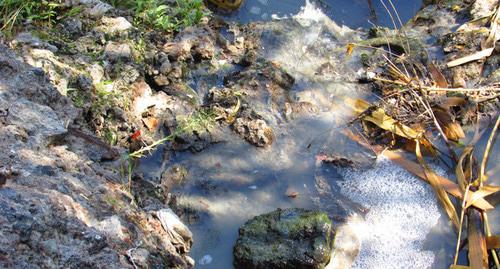 Неочищенные канализационные воды Дзержинского района через пруды попадают в Волгу. Фото Вячеслава Ященко для "Кавказского узла"