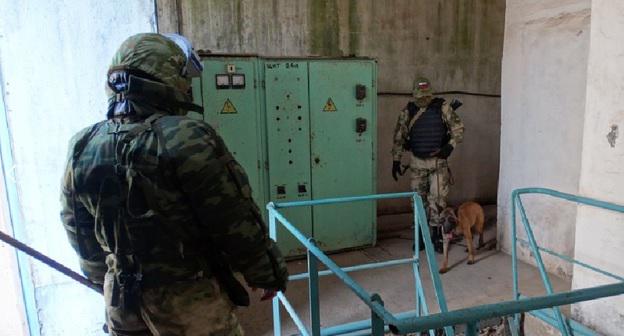 Сотрудники полиции со служебной собакой. Фото: пресс-служба главного управления МВД по Дагестану https://05.мвд.рф