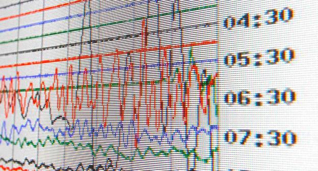 Показания сейсмографа. Фото REUTERS:
David Moir