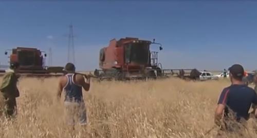 Фермеры пытаются остановить комбайны на поле в Волгоградской области. скриншот видео НТВ https://www.youtube.com/watch?v=859630kZ5rE