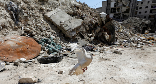 Война в Сирии. Фото: REUTERS/Omar Sanadiki