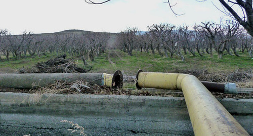 Оросительный канал в фруктовом саду. Фото Армине Мартиросян для "Кавказского узла"