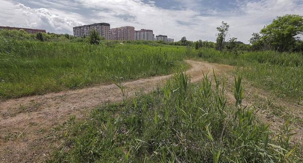 Пустырь на месте Александровского лесопитомника. Фото^: пресс-служба ЮСИ