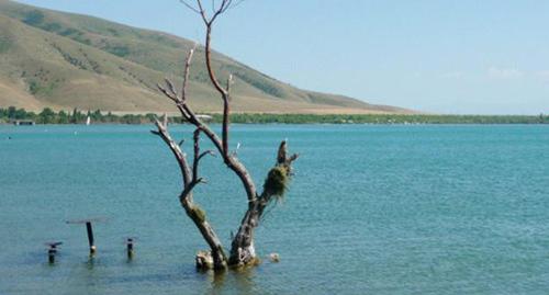 Озеро Севан, июль 2017 года. Фото Армине Мартиросян для "Кавказского узла".