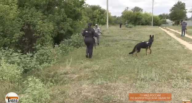 Скриншот видео "Масштабная операция: в Волгоградской области третий день ищут без вести пропавшего ребенка", https://www.youtube.com/watch?v=4Io6T6RxMbM