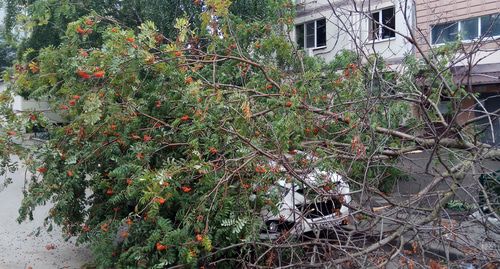 Последствия стихии в Ростове-на-Дону. Фото Константина Волгина для "Кавказского узла"
