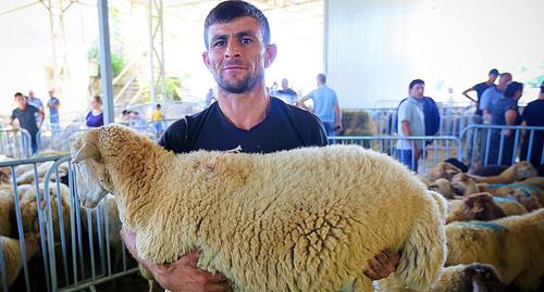 Продавец держит в руках жертвенную овцу. Фото Азиза Каримова для "Кавказского узла"