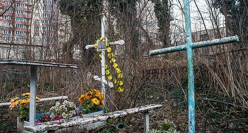 Кладбище. Фото © Елена Синеок, Юга.ру