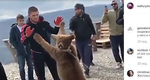 Хабиб Нурмагомедов борется с медведем. Фото  кадр видео со страницы Нурмагомедова в Instagram.