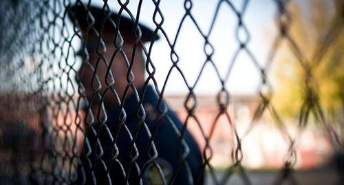 Колония. Фото: Елена Синеок, ЮГА.ру