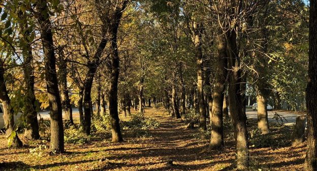 Место, где планируется строительство храма. Фото Анны Грицевич для "Кавказского узла".