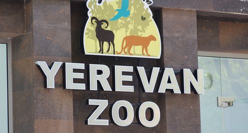 Ереванский зоопарк. Фото Тиграна Петросяна для "Кавказского узла"