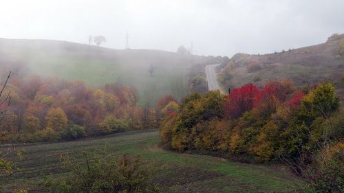 Нагорный Карабах. 1 ноября 2019 год. Фото Алвард Григорян для "Кавказского узла"