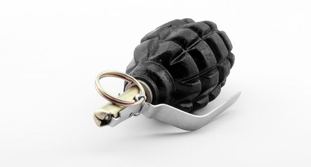 Граната Ф-1 с запалом УЗРГ. Фото: Stanislav S. Yanchenko - CC BY 3.0. https://commons.wikimedia.org/wiki/File:F1_grenade_travmatik_com_02_by-sa.jpg