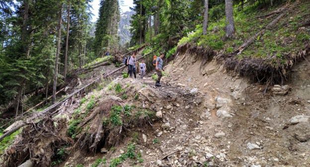 Разрушенные склоны в Архызе. Фото пресс-службы представительства WWF России в экорегионе "Российский Кавказ".https://wwf.ru/resources/news/lesa/wwf-trebuet-spasti-unikalnye-lesa-arkhyza/