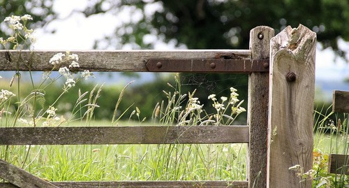 Забор на ферме. Фото: Kevsphotos / pixabay.com