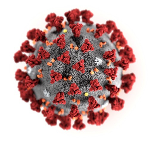 Ультраструктурная морфология, демонстрируемая новым коронавирусом 2019 года (2019-нКоВ). Фото: Alissa Eckert, MS; Dan Higgins, MAM/CDC/Handout via Reuters