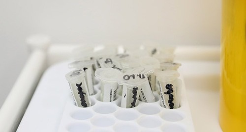 Пробирки с тестами на коронавирус. Россия, апрель 2020 года. Фото: REUTERS/Evgenia Novozhenina
