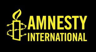 Amnesty International потребовала прекратить преследование журналистов в Южной Осетии