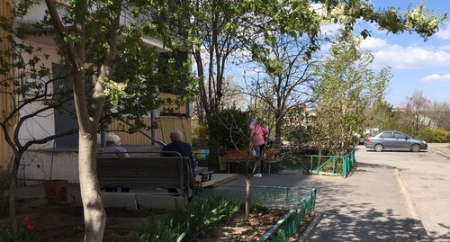 Жители города сидят на лавочке возле своего дома. Волгоград, 27 апреля 2020 г. Фото Татьяны Филимоновой для "Кавказского узла"