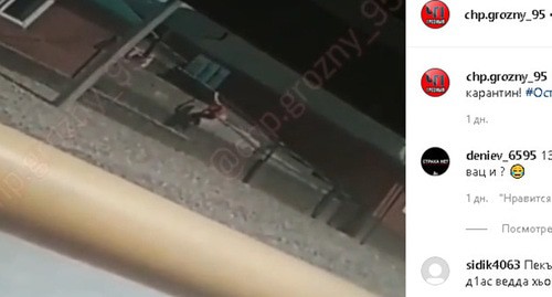 Видеозапись бегства жителя Чечни от полицейских. Скриншот видео https://www.instagram.com/p/CAFXjUrltHB/