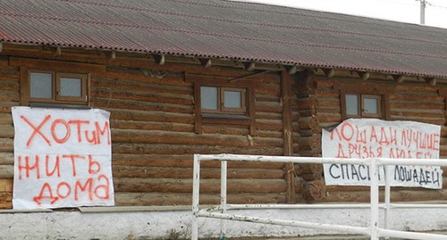 Плакаты на стенах конно-спортивного клуба "Сосновый бор". Фото Татьяны Филимоновой для "Кавказского узла"