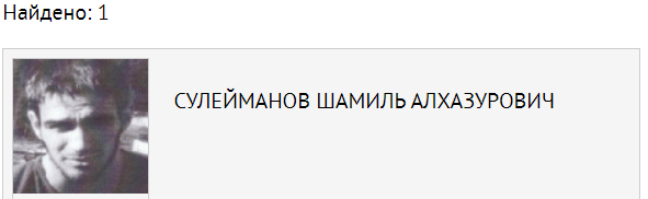 Скриншот результата поиска по базе данных "Розыск" на сайте МВД России