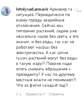 Комментарий пользователя letniysad.armavir к записи в Instagram kondratievvi от 07.07.2020.