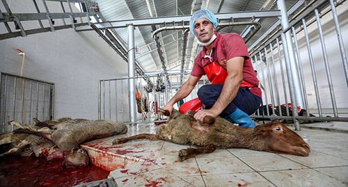 Мусульмане режут овец в отведенном для скота месте в Баку. 31 июля 2020 г. Фото Азиза Каримова для "Кавказского узла"