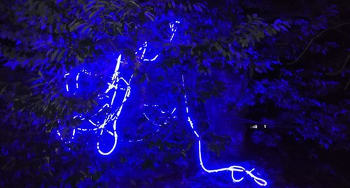 Подсветка в парке "Южные культуры". Фото Светланы Кравченко для "Кавказского узла"