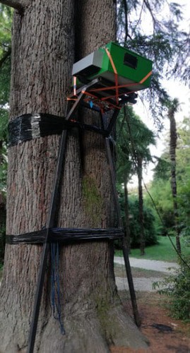 Светодиодная лампа на дереве. Фото Светланы Кравченко для "Кавказского узла"