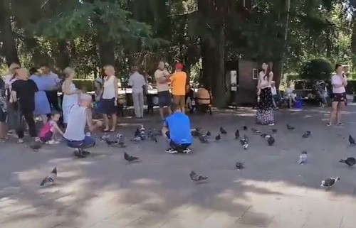 Акция "кормления голубей" в поддержку жителей Хабаровска в Сочи. Фото Светланы Кравченко для "Кавказского узла"