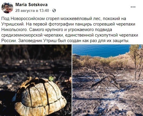 Скриншот со страницы пользователя Maria Sotskova в Facebook https://www.facebook.com/maria.sotskova.58