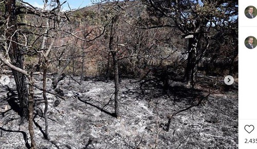 Последствия пожара в заповеднике "Утриш". Фото: скриншот со страницы kondratyevvi в Instagram https://www.instagram.com/p/CEelsUCFtU-/