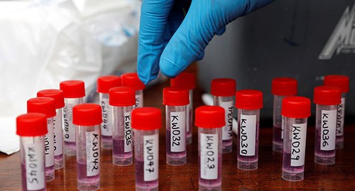 Тесты на коронавирус. Фото: REUTERS/Baz Ratner