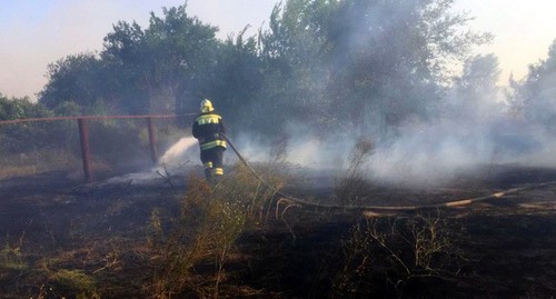 Пожар на землях лесного фонда в Тарасовском районе. Фото пресс-службы МЧС Ростовской области