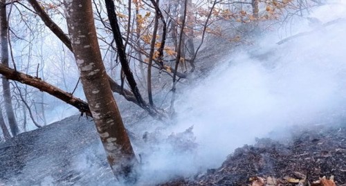 Пожар в лесу после обстрела. Фото: https://vesti.az/socium/pozhar-proizoshedshij-v-lesnom-massive-v-rezultate-obstrela-armyanami-gyoranboya-potushen-obnovleno-420717
