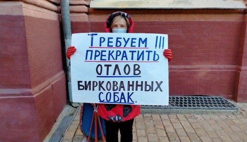 Зоозащитница проводит одиночный пикет у здания администрации Астраханской области. 20 ноября 2020 года. Фото Алены Садовской для "Кавказского узла"