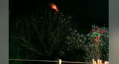 Пожар в Хостинском районе Сочи.  Скриншот видео, опубликованного в Telegram-канале РИА "Новости" t.me/rian_ru/73292