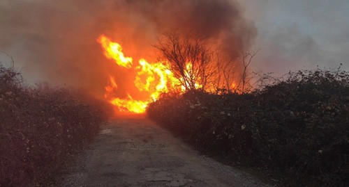 Природный пожар в Гальском районе Абхазии. Фото: пресс-служба МЧС Абхазии https://mchsra.info/