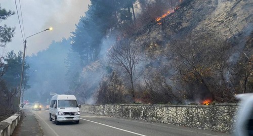 Лесной пожар в Абхазии. Фото: пресс-служба МЧС Абхазии https://mchsra.info/