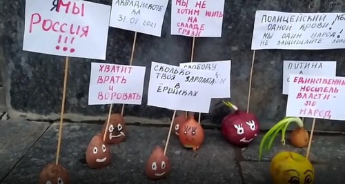 "Овощной пикет". скриншот видео канала Анастасии Емельяновой 